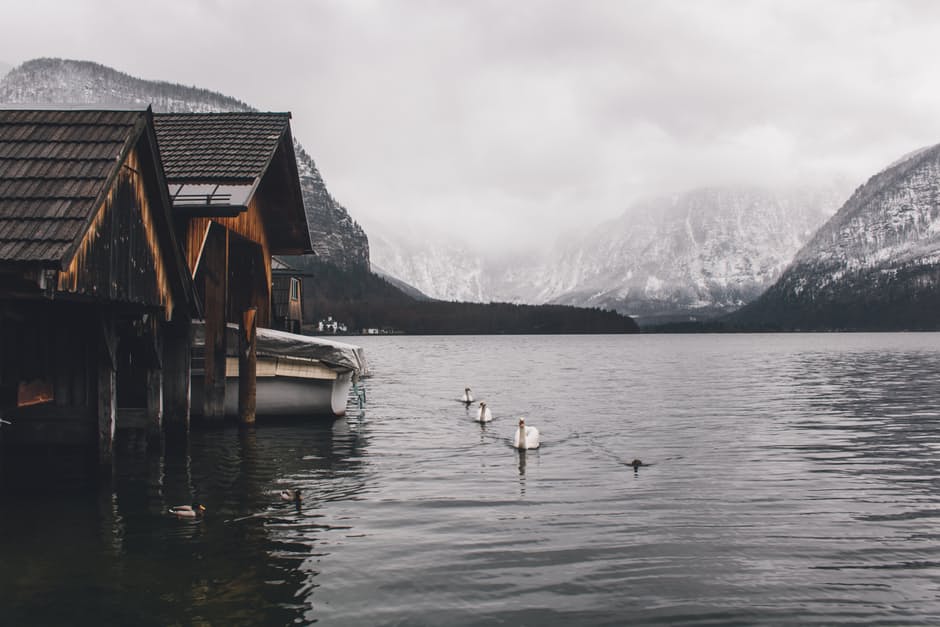 houses in a lake